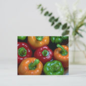 Carte Postale Piments colorés, gros plan (Debout devant)