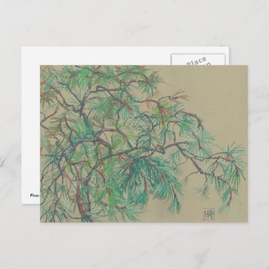 Carte Postale Pin (Devant / Derrière)