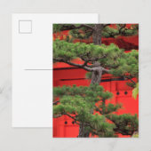 Carte Postale Pin de bonsaï (Devant / Derrière)