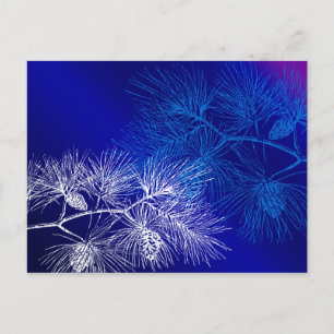 Carte Postale Pin d'hiver bleu et blanc
