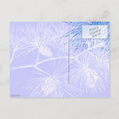 Carte Postale Pin d'hiver bleu et blanc (Dos)