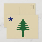 Carte Postale Pin et étoile 1901 drapeau de l'état du Maine (Devant / Derrière)