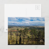 Carte Postale Pin Ponderosa de la tour Devils (Devant / Derrière)