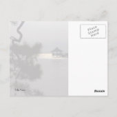 Carte Postale Pin tordu (Dos)