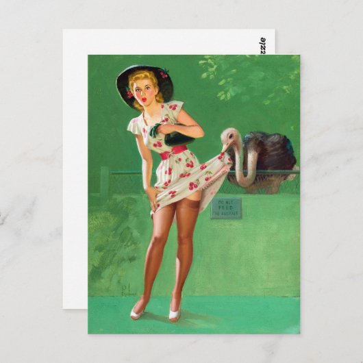 Carte Postale Pin Up d'autruche (Devant / Derrière)