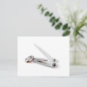 Carte Postale Pince à ongles (Debout devant)