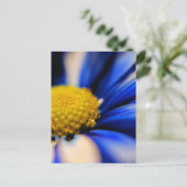 Carte Postale Pinceau (Debout devant)