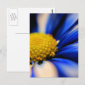 Carte Postale Pinceau (Devant / Derrière)