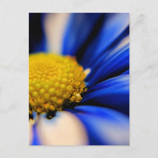 Carte Postale Pinceau (Devant)