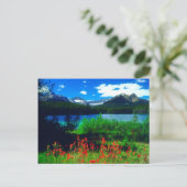 Carte Postale Pinceaux indiens fleurs sauvages (Debout devant)