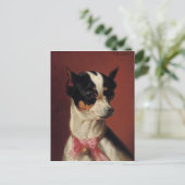 Carte postale Pincher Toy (Debout devant)