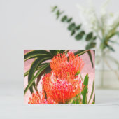 Carte postale Pincushion Tango #1-2 (Debout devant)