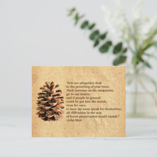 Carte Postale Pine Cone Et John Muir Citation (Debout devant)