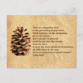 Carte Postale Pine Cone Et John Muir Citation (Devant)