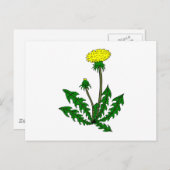 Carte Postale Pine dandelion (Devant / Derrière)