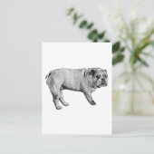 Carte postale Pine-Edge (Debout devant)