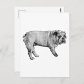 Carte postale Pine-Edge (Devant / Derrière)