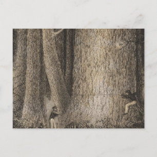 Carte Postale Pine Forest, Oregon