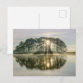Carte Postale Pine Island Sunray (Devant / Derrière)
