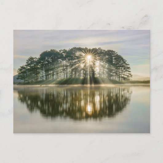 Carte Postale Pine Island Sunray (Devant)