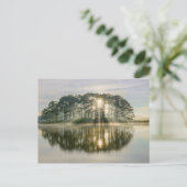Carte Postale Pine Island Sunray (Debout devant)