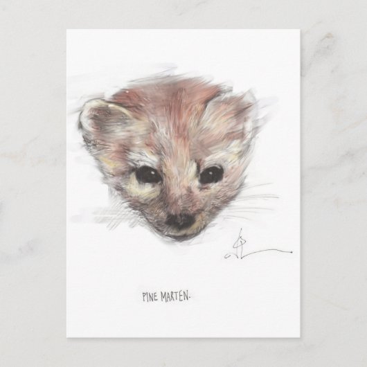 Carte postale Pine Marten (Devant)