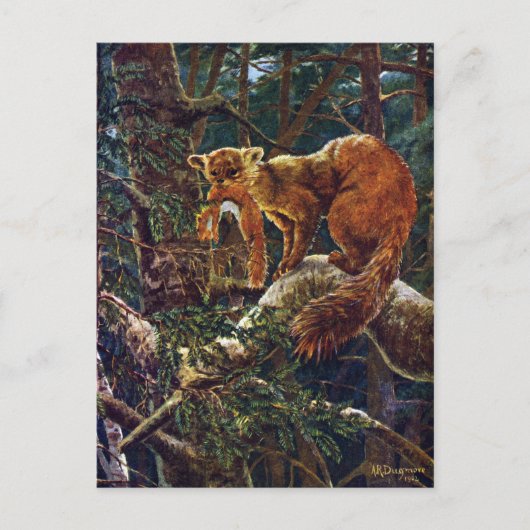 Carte Postale Pine Marten avec proie (Devant)