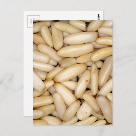 Carte Postale Pine noix - Pignole (Devant / Derrière)