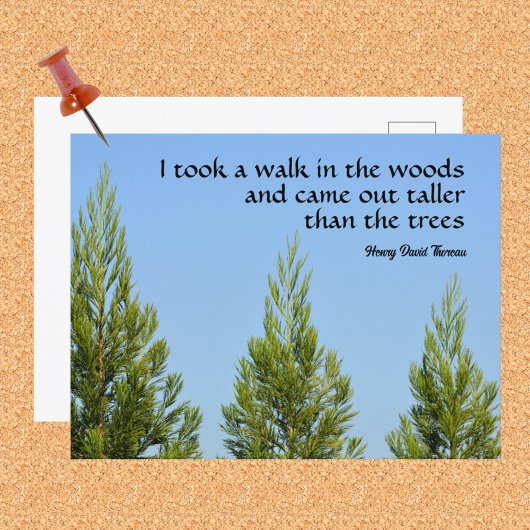 Carte Postale Pine Trees et Sky Thoreau Citation Walk in Woods