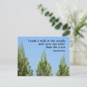 Carte Postale Pine Trees et Sky Thoreau Citation Walk in Woods (Debout devant)