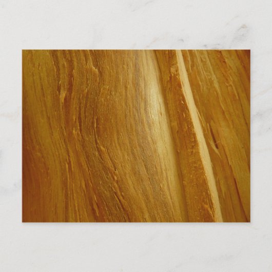 Carte Postale Pine Wood II Faux Texture en bois (Devant)