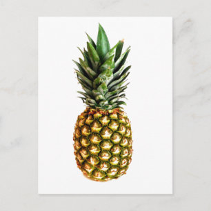 Carte Postale Pineapple fruit Print postcards