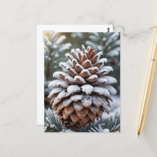 Carte Postale Pinecone gelé hiver Wonderland Nature