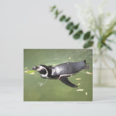 Carte Postale Pingouin (Debout devant)