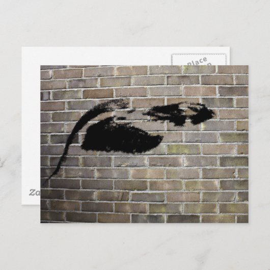 Carte Postale Pingouin (Devant / Derrière)