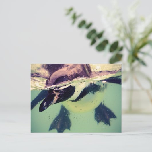 Carte Postale Pingouin (Debout devant)