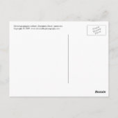 Carte postale Pingouin (Dos)