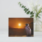 Carte Postale Pingouin & Antarctique Sunset Art (Debout devant)