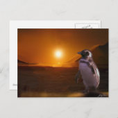 Carte Postale Pingouin & Antarctique Sunset Art (Devant / Derrière)