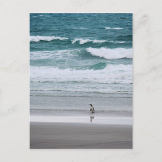 Carte Postale Pingouin de retour de l'océan