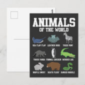 Carte Postale Pingouin de serpent à raton laveur Pun Animaux du  (Devant / Derrière)