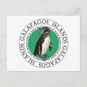 Carte Postale Pingouin des îles Galapagos