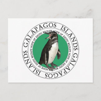 Carte Postale Pingouin des îles Galapagos
