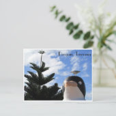 Carte Postale pingouin et goéland (Debout devant)