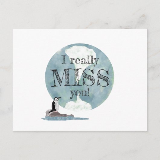 Carte Postale Pingouin et Jour des terres Miss Vous Enseignant (Devant)