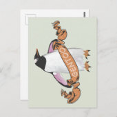 Carte Postale Pingouin Gentoo (Devant / Derrière)