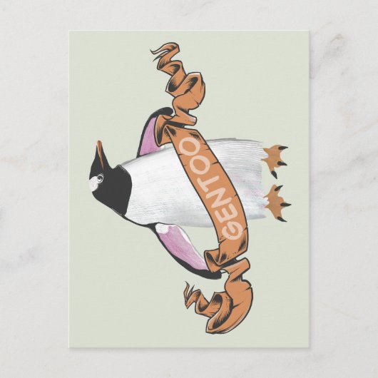 Carte Postale Pingouin Gentoo (Devant)