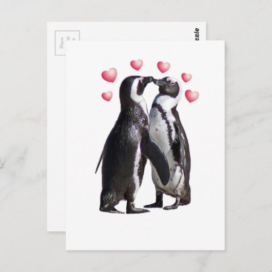 Carte Postale Pingouin Romance (Devant / Derrière)