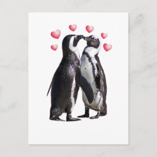 Carte Postale Pingouin Romance