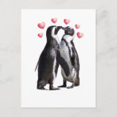 Carte Postale Pingouin Romance (Devant)